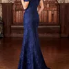 Vestidos de renda azul royal mãe da noiva fit e flare vestidos formais vestidos de noite plissados de cauda longa