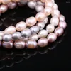 Bracelets de perles en forme de riz pour femmes, perles naturelles simples et élégantes, bijoux, accessoires de collier