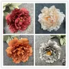 Fiori decorativi 1/5 pezzi teste di peonia bianca arco di nozze artificiale ghirlande decorazioni natalizie per la casa regalo fai da te piante finte