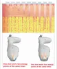 HIFU Yumuşak Asansör Ultrasonik Soğuk Yağ Dondurulmuş Tedavi Çift çene heykel 3.0 4.5mm tam boyutlu kartuşlar SMAS Zayıflama Anti Sarkma Makinesi 7D 11D Kişisel Salon Kullanımı