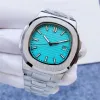 TOP AAA Watch Steel Mesh Band Simulated Date Watch Men's Luxury Brand Eruy Movement Mechanical Men's Watch