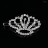 Haarspeldjes SLV Kleur Strass Tiara Crown Charm Hond Huisdieren Of Meisjes Clip Ornament Sieraden Accessoires 6st Lot