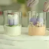 Mum Tutucular Cam Tutucu Ev Dekoru Küçük Tealight Dekoratif Sevimli Bitki Vazo Teraryum Kiti Çiçek