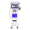 Maskin Multifunktion Beauty Health Euipment 10in 1 Hydrafacial Cleaning Machine Ansiktsbehandling Terapi RF Lyft Face Hydro ansiktsmaskin