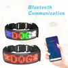 Colliers USB Charge Affichage LED Affichage pour chiens de compagnie Collier d'étanché
