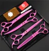 Tools Professional Pet Dog Grooming Scissors 7,0 tum Hårklippning + tunnare + Böjda sax 440C rak sax 4 st.