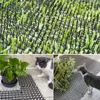 Cages 12pcs / Set Garden Prockle Strip Dig Arrêt du chat Répuiller Détraire Mat à poil Portable Antifat Dog Outdoor Garden Supplies