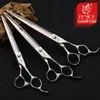 Tesoura Fenice Profissional Scissors Scissors direto de cães Grooming Scissors Bichon Teddy Bomei Dog Helfing Colet