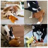 Dog Toys Tuggar Plush Toy Squeaky fylld för tristess Stimating Play Chew Resistant Safe and Nontoxic Delicious Turkey Dhwib