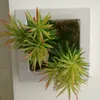 الزهور الزخرفية Nuonuowell 2xartifecial Flesiness Cactus 8.3 '' الإبرة الصنوبر النباتية الزهرة ديكور شرفة المنزل