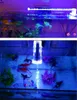 Éclairage Crystal Aquarium Clip support Lighting LED Small Mini Mini Économie d'énergie pour les herbes aquatiques