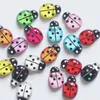 9 mm*13 mm kreskówek Coccinella septempunctata Symulacja Patcha żywica DIY Ornament Akcesoria 1224431