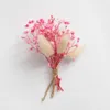Dekorativa blommor färgglada po props hem dekoration naturligt material äkta blomma växt stjälkar torkade buketter mini babysbreath