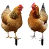 Trädgårdsdekorationer 2st undertecknar gård kyckling stav gårdar konst insats