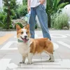 Leashes 2022New Pet Leash Light Automatic Automatic Automatic Tommor