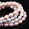 Bracelets de perles en forme de riz pour femmes, perles naturelles simples et élégantes, bijoux, accessoires de collier