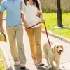 Trela de couro real coleira de cão de 130 cm de treinamento para caminhada de estimação leva