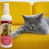 Répulsifs intérieurs chats extérieurs anti-scratch pulvérisation animal de compagnie interdit