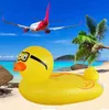 inflatable duck pool float