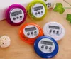 OEM Wit Magnetisch LCD Digitale Keuken Countdown Timer Alarm met Standaard Kookwekkers