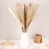 Dekorative Blumen, 40 Stück, weiß, natürlich, getrocknetes Pampasgras, künstliche Boho-Phragmites Communis für Vasen, Blumen-Party-Dekoration