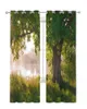 Gardin Arbor Tree Lake Landscape Tulle gardiner för vardagsrum sovrum kök dekoration chiffong ren voile fönster draperi
