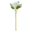 Fleurs décoratives 1Pc roi mariage Bouquet Protea fleur artificielle fausse plante bricolage fête décor