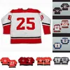 C2604 MIT Cleveland Barons 12 Barrie Meissne 45 Jonathan Cheechoo 30 Coutu 27 Gilles Meloche 2 Hampton 3 OBrien 9 Merrick 3 Gary Geldart Hockey Jersey