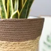 Vazen Plant Potten Zeegras Mand Planter Handgemaakte Geweven Opslag Indoor Decoratief Voor Rieten Rotan Wasserij Bloem Voor Huis Tuin 230603