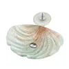 Sea Shell Type Tempered Glass Art Wash Basin European Style Platform Basin With Waterfall Water Mixer Taps KS11