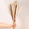 Dekorative Blumen, 40 Stück, weiß, natürlich, getrocknetes Pampasgras, künstliche Boho-Phragmites Communis für Vasen, Blumen-Party-Dekoration
