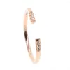 Pierścienie klastra czyste 925 Sterling Srebrna biżuteria hurtowa fabryka minimal minimalistyczna mikro preporysta cz chuda cienki pasek delikatny pierścień