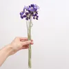 Decorative Flowers 10pcs Handmade Plant Violet Flower Natural Dried Bouquet Home Decoration Diy Arrangement Shooting Props