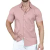 Men's Casual Shirts Summer Men's Solid Color Lapel Button Loose Short-sleeved Shirt