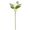 Fleurs décoratives 1Pc roi mariage Bouquet Protea fleur artificielle fausse plante bricolage fête décor
