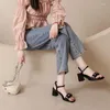 Sandals 2023 Ladies Summer French Women One-line Belt Mid-heel Chunky Heel Woman Fashion High Shoes