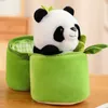 Bonecas de pelúcia 30 cm Tubo de bambu criativo Panda Boneca divertida Panda Brinquedos de pelúcia que podem caber em tubos de bambu Presentes de aniversário para crianças Decorações de quarto 230603