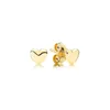 925 Silver Fit Kolczyki Pandora Gold Love Serie