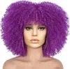 15 pouces afro bouclés perruque courte pour les femmes euro-américaine tête explosive perruque de cheveux synthétiques avec rose net plusieurs styles disponibles