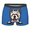 Caleçon furtivement chien West Highland White Terrier sous-vêtements hommes Stretch Westie Boxer Shorts culotte douce pour homme