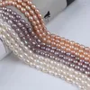 Loose Gemstones Promotion Price 7-8mm Rice Freshwater Pearl String