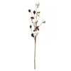 Decorative Flowers 1Pc 6 Heads Cotton Branches Flower Naturally Dried Home Furnishing Road Decoration Wall