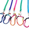 Leases Pet Rainbow Dog Cat Collar Leash med Bell Nylon Dog leder färgglad dragkraft