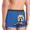 Caleçon furtivement chien West Highland White Terrier sous-vêtements hommes Stretch Westie Boxer Shorts culotte douce pour homme