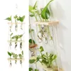 Vases Propagateur Tube À Essai Planteur Titulaire Fleur Avec Support En Bois Moderne Tenture Hydroponique Terrarium Décor À La Maison 3 Niveaux 230603