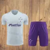 2023 2024 camisa Cruzeiro fatos de treino camisas de futebol 23/24 POTTKER DEDE R.SOBIS Camiseta de Raposas camisa de futebol homem treino POLO Colete