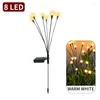 Solar Light Outdoor Tuin Decoratie Landschap Lichten Vuurwerk Firefly Gazon Lampen Landhuis Balkon Decor Lamp