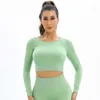 Active Shirts Seamless Sports Fitness Yoga Shirt Open Back Athletic Top Long Sleeve Crop Gym Activewear Tops Workout Clothes For Women