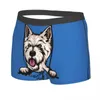 Caleçon furtivement chien West Highland White Terrier sous-vêtements hommes Stretch Westie Boxer Shorts culotte douce pour homme