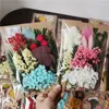 Decoratieve Bloemen Gemengde Natuurlijke Gedroogde En Kruiden DIY Maken Aroma Kaars Hars Voor Bruiloft Decoratie Kamer Thuis